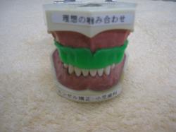 患者さん空手でご活躍