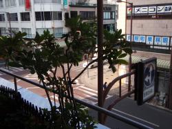 今日10月13日月　矯正の診療日