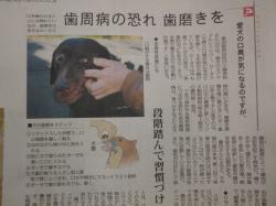 愛犬の口臭が気になるのですが？