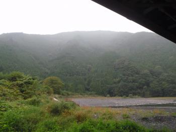 緑を見に郊外へ