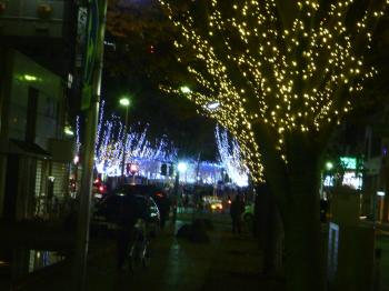 静岡市青葉公園の夜景です。