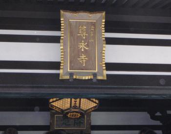 皆様の希望がかないますように