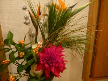 1月の花