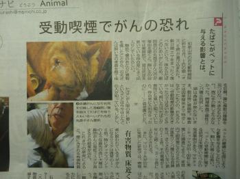 ﾍﾟｯﾄが受動喫煙で　ｶﾞﾝの恐れ