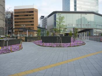 静岡駅北口の花