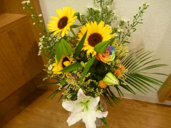 6月 今週の花
