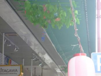 清涼