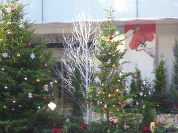ｸﾘｽﾏｽの準備