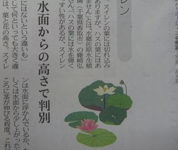 ﾊｽとｽｲﾚﾝ