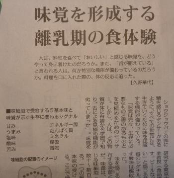離乳期に味覚が形成