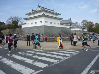 駿府ﾏﾗｿﾝ