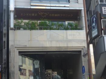 ｴﾝｾﾞﾙ１６年目になります。