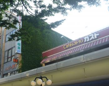 緑のｶｰﾃﾝ