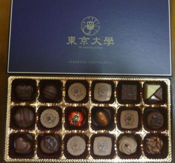 興奮しました