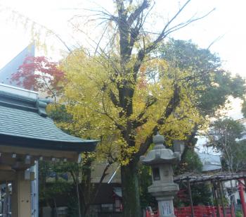 神様？