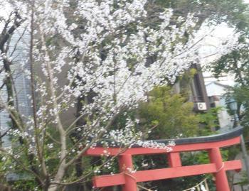 いよいよです