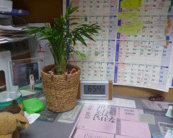 on my desk
