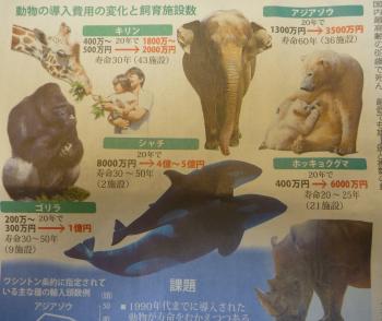 ｺﾞﾘﾗっていくら？