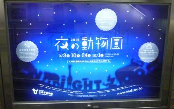 夜の・・・