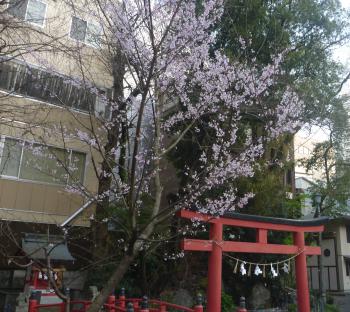 ﾊﾟﾙｺ前では