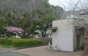 花見　１城北公園
