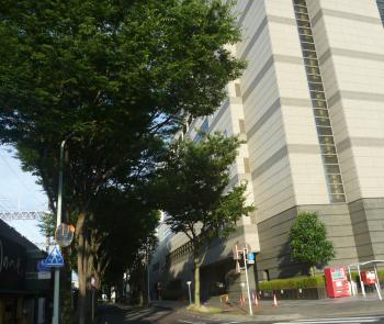 気持ちが朝