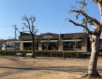 穏やかな日曜の朝