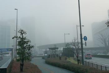 春近いら