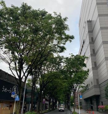 さあ、5月ｽﾀｰﾄ！
