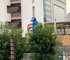 興奮した