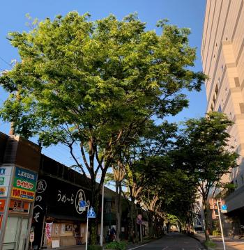 良い連休を