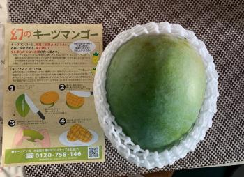 ふるさと納税