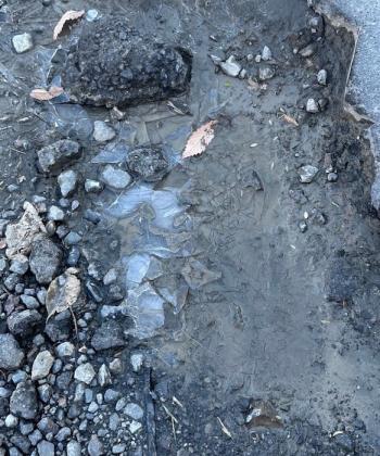 静岡で氷？