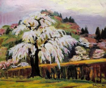 4月の桜