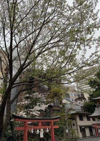 今日の小櫛神社