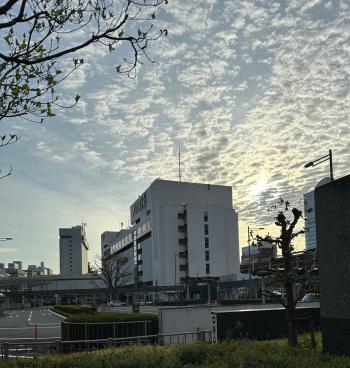入学式