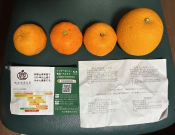 みかん