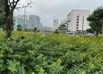 今朝のJR静岡駅