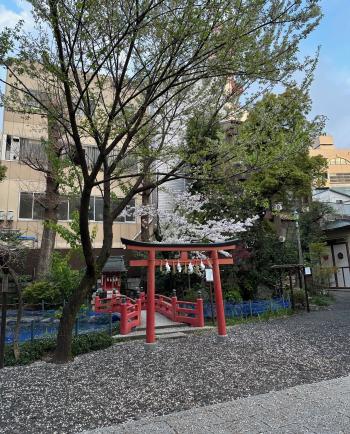 静岡まつり