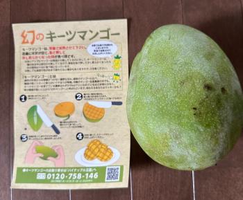 まぼろし