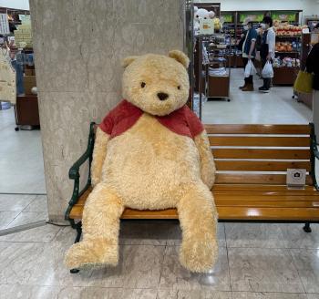 クマがいる？