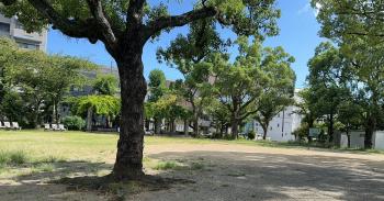 公園