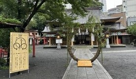 2026年6月