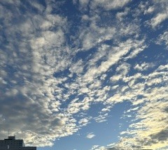 久々の